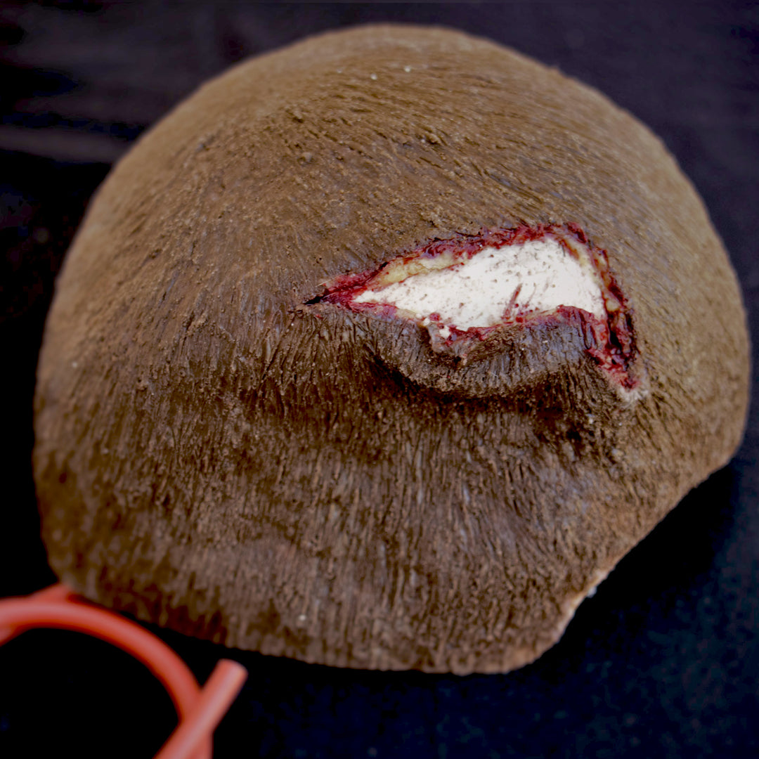 007_SCALP_wound_HEAD2_1080x.